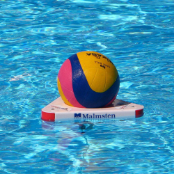 Круг стартовый