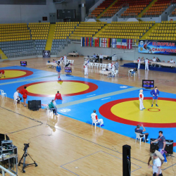 Ковер для самбо - одобрен FIAS